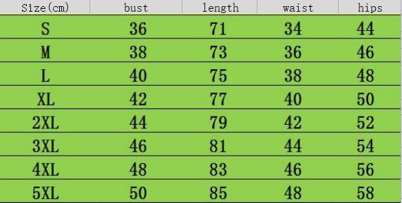 Women's Plus Size Skirt Bikini Printed Swimsuit